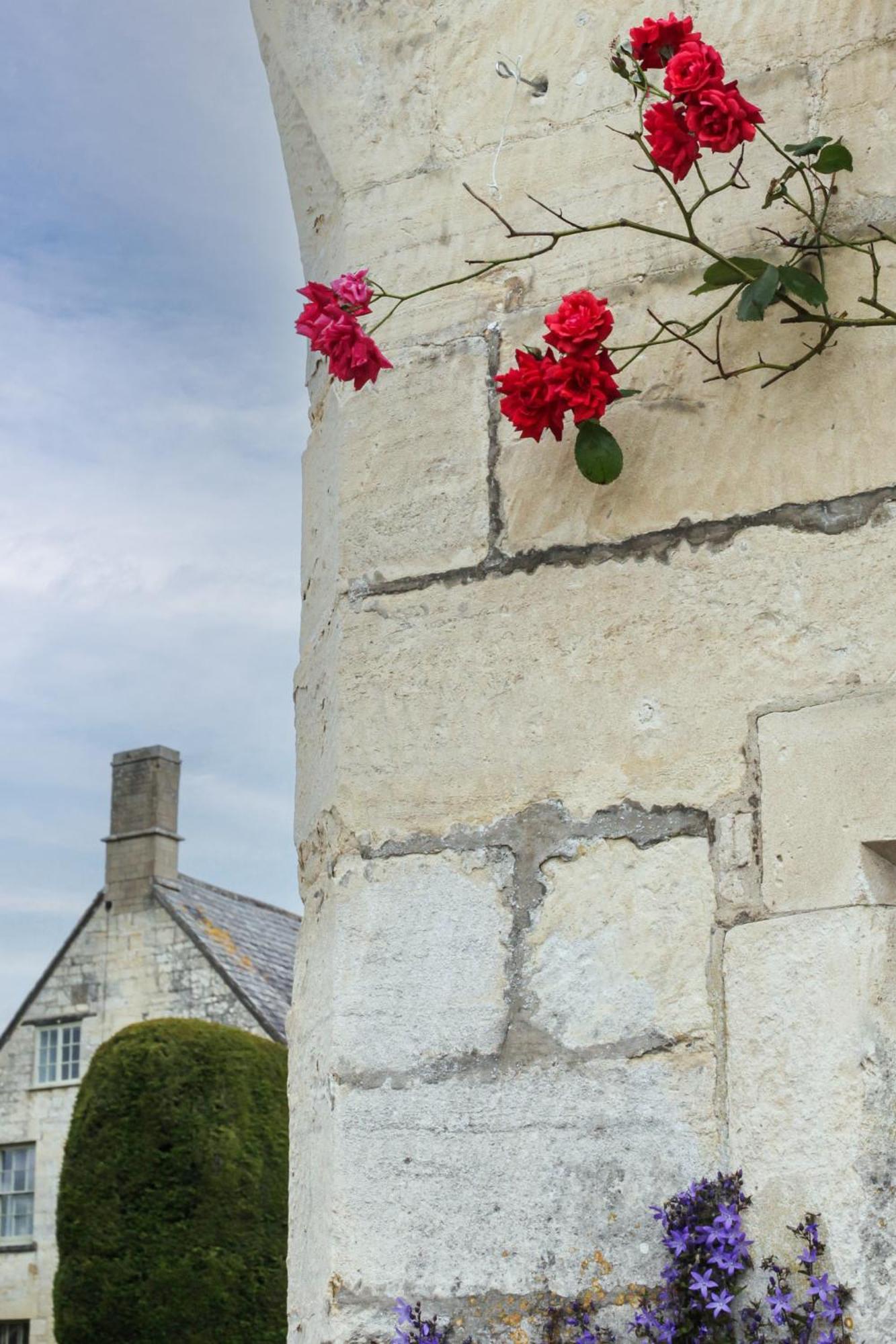 Villa Bright & Beautiful Open Plan Coach House Painswick Esterno foto